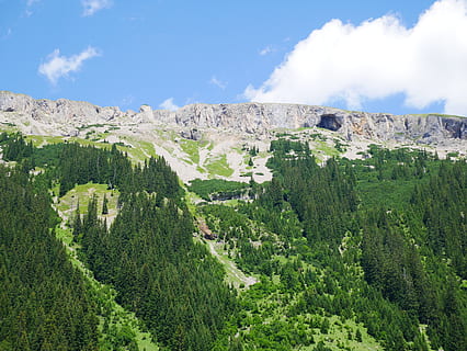 bjergdal, fyrretræer, dagslys, miljø, Skov, høj, landskab, bjerg, natur, stenet bjerg, naturskøn, syn, træer, plante, træ, grøn farve, himmel, skønhed i naturen, sky - himmel, vækst, scenics - natur, dag, rolig scene, ro, ingen mennesker, jord, ikke-urbane scene, udendørs, idyllisk, 4K, CC0, offentligt domæne, royaltyfrie