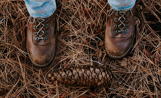 pinecone marró, roba, arrencada, sabata, calçat, bota de vaquer, humà, persona, de fulla perenne, hivern, pi, senderisme, regal, donar, explorar, Nadal, pinya de pi, a l'aire lliure, falguera, home, secció baixa, cama humana, vista d’angle alt, part del cos, part del cos humà, una persona, dia, persones reals, peu humà, naturalesa, camp, terra, estils de vida, de peu, activitat d'oci, primer pla, marró, cuir, texans, extremitat humana, 5K, CC0, domini públic, lliure de regalies