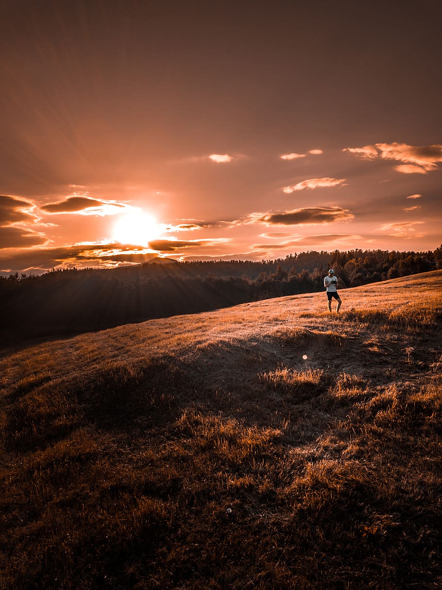 person, stående, Brun, Mark, solopgang, baggrundsbelyst, skyer, farve, mørk, daggry, dagslys, dramatisk, aften, græs, landskab, lys, natur, norge, naturskøn, himmel, sol, solnedgang, træer, vejr, en person, rigtige mennesker, livsstil, jord, sollys, fritidsaktivitet, herrer, skønhed i naturen, scenics - natur, fuld længde, sky - himmel, aktivitet, ro, miljø, rolig scene, udendørs, linseflare, 4K