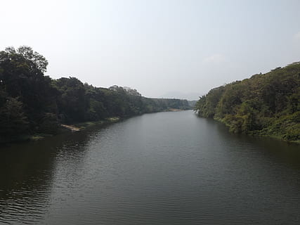 Índia, nilambur, aigua, arbre, bellesa a la natura, tranquil·litat, planta, escena tranquil·la, escenics - natura, davant del mar, cel, cap gent, naturalesa, dia, escena no urbana, llac, idíl·lic, a l'aire lliure, creixement, reflexió, 2K, CC0, domini públic, lliure de regalies