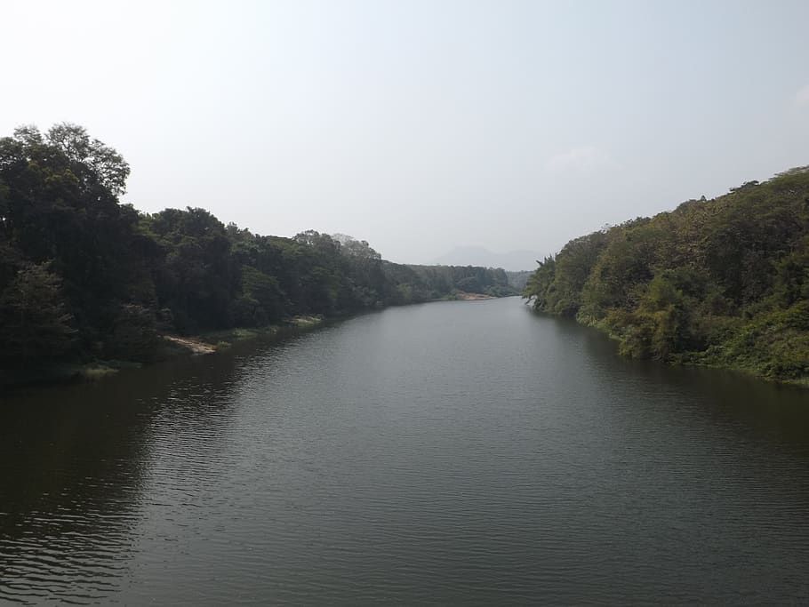 Índia, nilambur, aigua, arbre, bellesa a la natura, tranquil·litat, planta, escena tranquil·la, escenics - natura, davant del mar, cel, cap gent, naturalesa, dia, escena no urbana, llac, idíl·lic, a l'aire lliure, creixement, reflexió, 2K