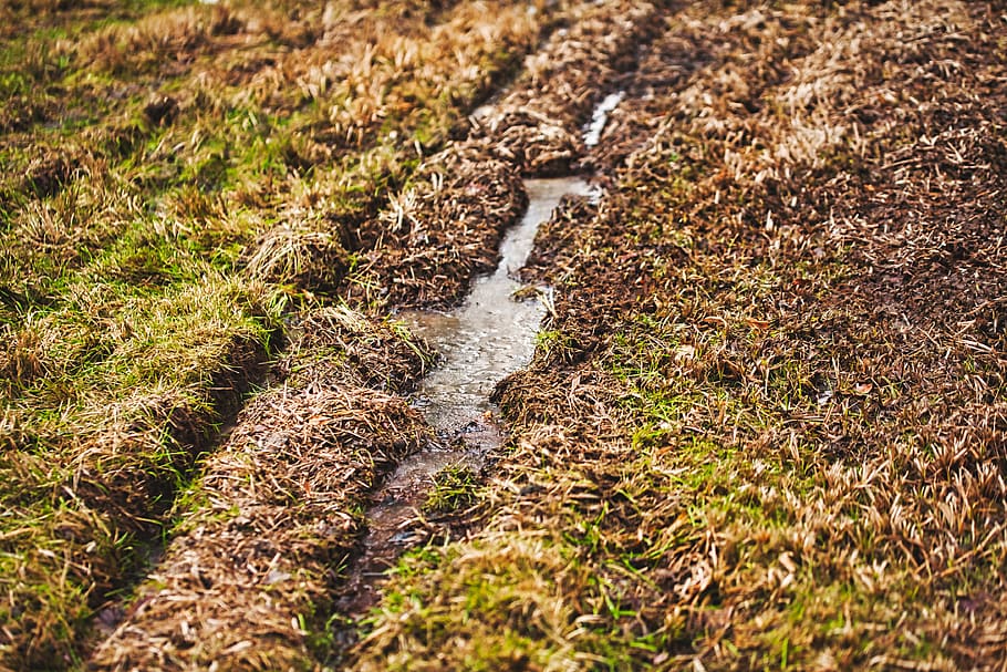 campo, prato, tracce, ghiaccio, congelato, paesaggio, erba, rurale, lontano, natura, arabile, nessuno, giorno, vista dall'alto, terra, pianta, crescita, acqua, all'aperto, bellezza nella natura, luce del sole, messa a fuoco selettiva, colore verde, solido, la tranquillità, temi animali, roccia, fango, 4K
