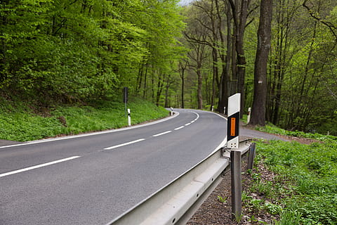 afgrænser, stolpe, konstruktion, vej, rute, sti, pathway, hovedvej, jungle, vild, Skov, træ, grøn, natur, plante, skilt, transportmidler, symbol, jord, ingen mennesker, vejmærkning, dag, grøn farve, mærkning, tom vej, retning, vejen frem, vækst, ro, ikke-urbane scene, udendørs, skillelinje, 5K, CC0, offentligt domæne, royaltyfrie