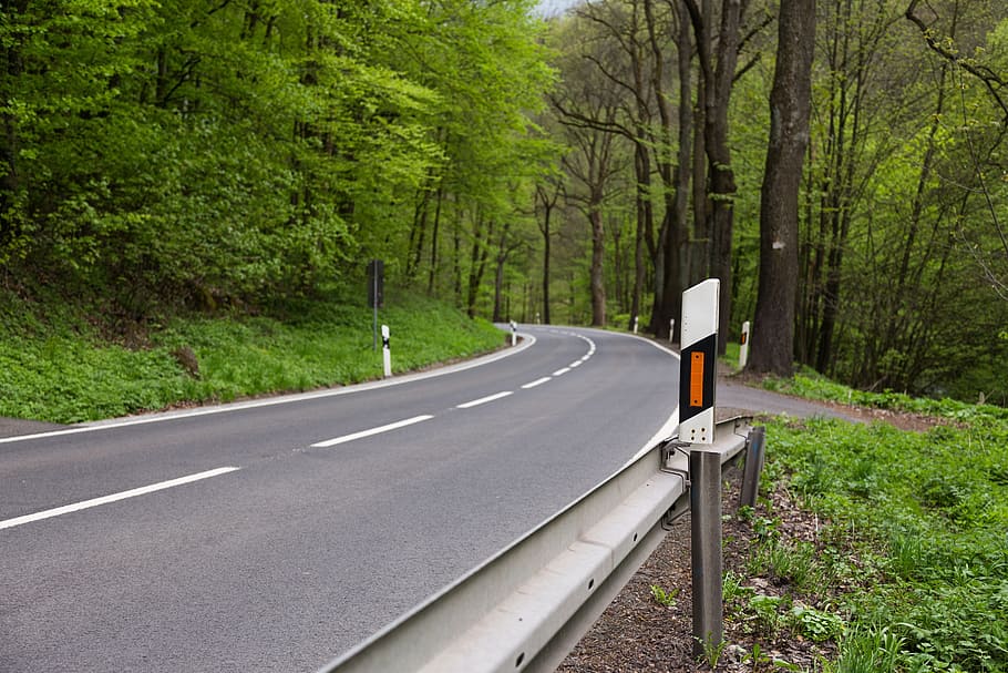 afgrænser, stolpe, konstruktion, vej, rute, sti, pathway, hovedvej, jungle, vild, Skov, træ, grøn, natur, plante, skilt, transportmidler, symbol, jord, ingen mennesker, vejmærkning, dag, grøn farve, mærkning, tom vej, retning, vejen frem, vækst, ro, ikke-urbane scene, udendørs, skillelinje, 5K