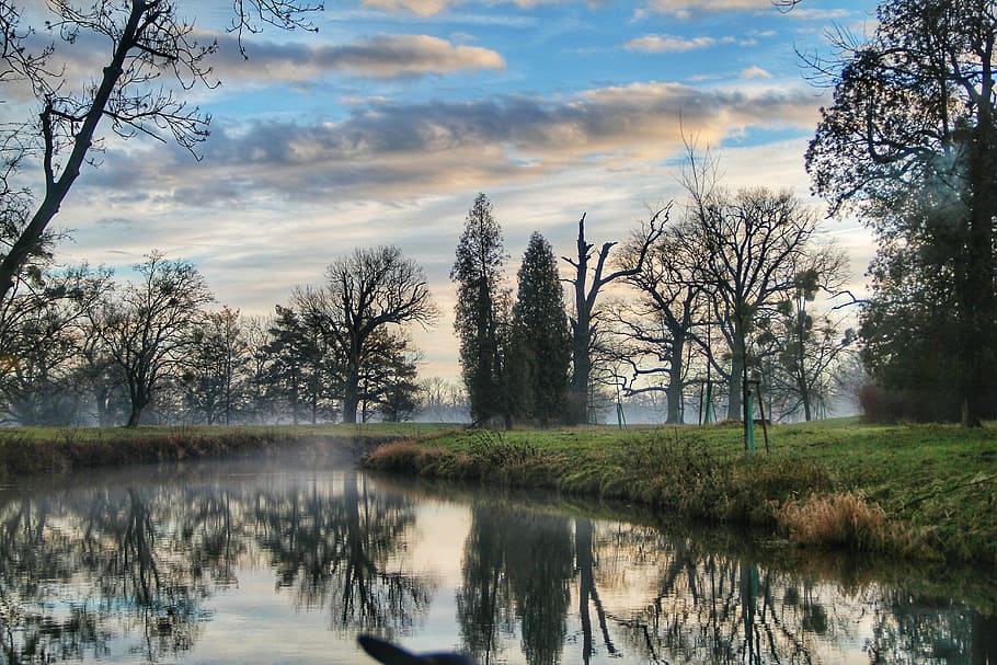 paisatge, bosc fluvial, cel clar, núvols, la llum del dia, medi ambient, boira, herba, naturalesa, parc, reflexions, escènic, cel, arbres, aigua, arbre, planta, tranquil·litat, reflexió, núvol - cel, escena tranquil·la, llac, bellesa a la natura, escenics - natura, arbre nu, cap gent, escena no urbana, creixement, dia, idíl·lic, a l'aire lliure, llac de reflexió, 5K