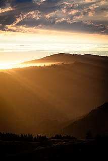 silhuet, træer, bjerg, gylden, time, himmel, Sky, træ, Skov, landskab, ray, solskin, sol, natur, solnedgang, orange, mørk, glød, aften, lys, farve, vandretur, Foto, udendørs, solopgang - daggry, morgen, bakke, scenics, sollys, daggry, landlige scene, skumring, sommer, skønhed i naturen, tåge, landbrug, efterår, toscana, Italien, gul, ikke-urbane scene, solstråle, sæson, eng, jord, rolig scene, orange farve, Mark, dal, gård, lys - naturligt fænomen, ingen mennesker, Val d'Orcia, sky - himmel, baggrunde, rejse, 5K, CC0, offentligt domæne, royaltyfrie