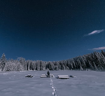 person, standing, snow, covered, plain, background, beautiful, cold, conifers, evening, fir trees, footpath, footprints, forest, frozen, idyllic, landscape, nature, night, night sky, peaceful, pine trees, relaxing, scenery, scenic, season, snowcapped, snowy, space, stars, tranquil, trees, universe, weather, winter, woods, cold temperature, scenics - nature, beauty in nature, sky, star - space, tree, mountain, non-urban scene, tranquility, tranquil scene, plant, land, one person, astronomy, 5K, CC0, public domain, royalty free