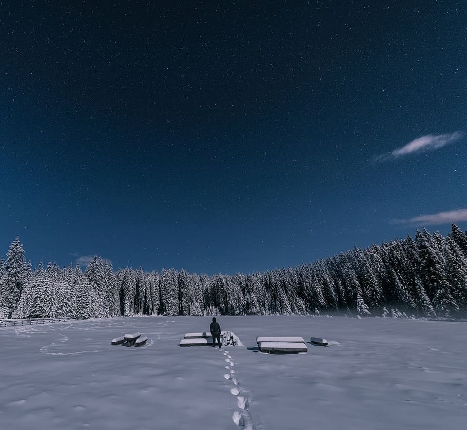 Person, Stehen, Schnee, bedeckt, einfach, Hintergrund, wunderschönen, kalt, Nadelbäume, Abend, Tannenbäume, Fußweg, Fußabdrücke, Wald, gefroren, idyllisch, Landschaft, Natur, Nacht-, Nachthimmel, friedlich, Kiefern, entspannend, szenisch, Jahreszeit, schneebedeckt, Platz, Sterne, still, Bäume, Universum, Wetter, Winter, kalte Temperatur, Szenen - Natur, Schönheit in der Natur, Himmel, Stern - Raum, Baum, Berg, Nicht-städtische Szene, Ruhe, ruhige Szene, Pflanze, Land, eine Person, Astronomie, 5K