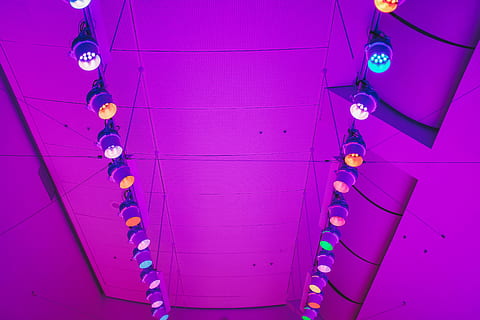 lampada interna illuminata, sfera, palla, mezzi di trasporto, veicolo, Palloncino, aereo, mongolfiera, attività ricreative, gonfiabile, luce, paracadute, illuminazione, acrobatico, circo, avventura, volo, plafoniera, biplano, area giochi interna, sospeso, colore rosa, decorazione, Inquadratura dal basso, multicolore, soffitto, illuminato, in casa, nessuno, viola, attrezzatura per l'illuminazione, celebrazione, di fila, evento, architettura, gruppo di oggetti, struttura costruita, festa - evento sociale, costruzione, 5K, CC0, dominio pubblico, privo di copyright