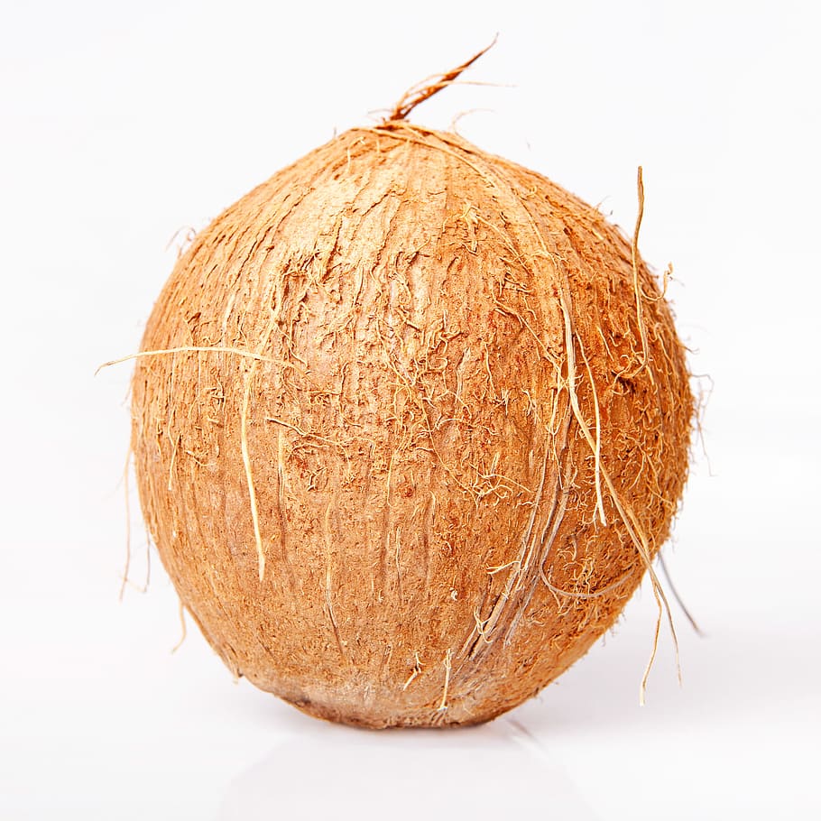 coco, cocos, fruita, drupa, dur, llet, shell, menjar i beguda, fons blanc, natura morta, tir de l'estudi, menjar, primer pla, a l'interior, marró, frescor, alimentació saludable, benestar, cap gent, sol objecte, planta, naturalesa, tallar, color taronja, 1080P