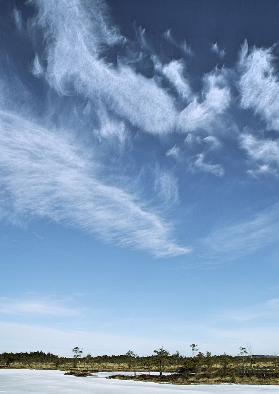 escènic, vista, cel, calma, núvols, la llum del dia, medi ambient, idíl·lic, paisatge, naturalesa, pacífica, tranquil, temps, núvol - cel, bellesa a la natura, tranquil·litat, escena tranquil·la, escenics - natura, planta, arbre, dia, terra, cap gent, blau, escena no urbana, camp, a l'aire lliure, vista d’angle baix, 5K
