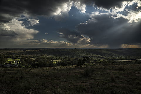 floresta, arvores, árvore, panorama, parque de golfe, grama verde, grama, estrada, sombras, tons, leve, Dom, raios solares, Raios, nuvem, nuvens, cloudscape, céus azuis, céu azul, horizonte, nuvem - céu, céu, meio Ambiente, tranquilidade, beleza na natureza, scenics - natureza, cena tranquila, ninguém, natureza, terra, cena não urbana, campo, plantar, dia, ao ar livre, horizonte sobre a terra, sinistro, 5K, CC0, domínio público, royalty free