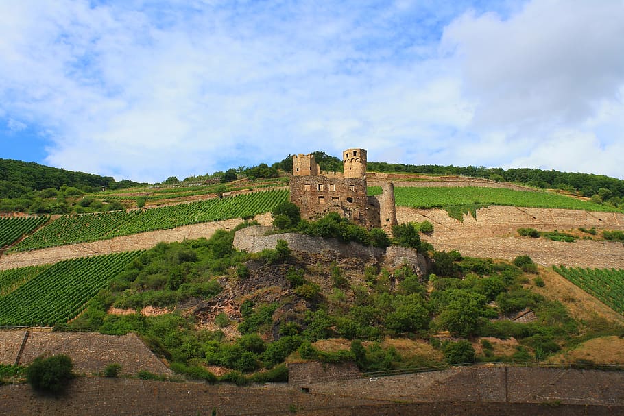 castello, cielo, paesaggio, nuvole, fortezza, il passato, storia, architettura, struttura costruita, nuvola - cielo, antico, esterno dell'edificio, forte, natura, pianta, destinazioni di viaggio, vecchio, giorno, turismo, viaggio, nessuno, parete, vecchia rovina, all'aperto, antica civiltà, rovinato, storia antica, muro di pietra, archeologia, 4K