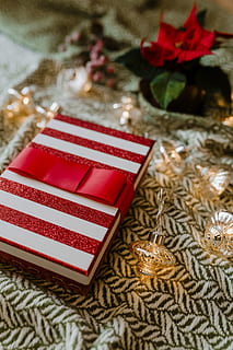 rosso, bianca, libro, Marrone, tessile, frutti di bosco, arco, luminosa, avvicinamento, colori, luci fatate, fiore, pacco regalo, luci, luci di stringa, avvolto, Natale, celebrazione, vacanza, in casa, decorazione natalizia, albero di Natale, decorazione, animali domestici, ornamento di Natale, nessuno, gatto, gatto domestico, domestico, animale, vertebrato, vista dall'alto, regalo, 5K, CC0, dominio pubblico, privo di copyright