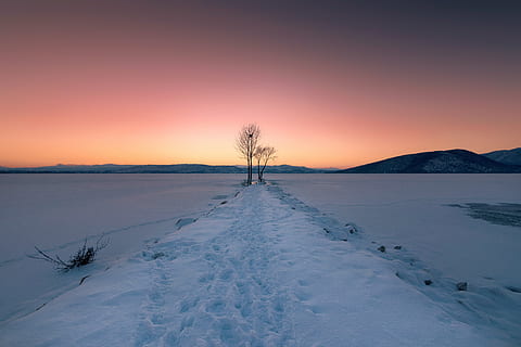 hivern, gel, fred, neu, congelat, gelades, paisatge, naturalesa, blanc, arbre, llac gelat, kastoria, Grècia, cel, posta de sol, tranquil·litat, medi ambient, temperatura de fred, escena tranquil·la, bellesa a la natura, escenics - natura, planta, terra, cap gent, arbre nu, Color blanc, camp, 5K, CC0, domini públic, lliure de regalies