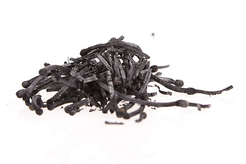 ceniza, despojos mortales, blanco, aislado, foto de estudio, Fondo blanco, adentro, de cerca, comida y bebida, comida, de color negro, nadie, naturaleza muerta, ingrediente, especia, separar, comida italiana, frescura, enfoque selectivo, hierba, copia espacio, indulgencia, pastas, planta, 2K, CC0, dominio público, libre de derechos