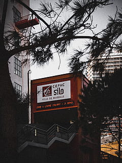senyalització del cepac, arbre, planta, ciutat, barana, símbol, nit, text, urbà, coet, ville, fons de pantalla, hd, bonic, sitja, arbres, la vida, marseille, vent, arquitectura, comunicació, estructura construïda, exterior de l'edifici, signe, vista d’angle baix, guió occidental, cap gent, informació, edifici, naturalesa, cel, dia, a l'aire lliure, signe d'informació, branca, lloc, 4K, CC0, domini públic, lliure de regalies