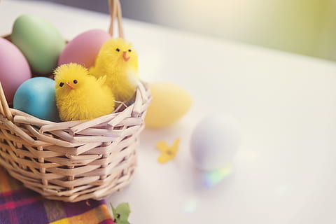 happy, easter!, toy chicken, eggs, basket, easter, egg, easter egg, bird, young bird, animal themes, celebration, animal, young animal, container, holiday, domestic animals, yellow, chicken - bird, no people, indoors, baby chicken, cute, springtime, 5K, CC0, public domain, royalty free