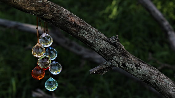 afdeling, Skov, træ, krystaller, solfangeren, om aftenen, eiskristalle, perler, Suncatcher, aften, sort, fokus på forgrunden, plante, ingen mennesker, natur, tæt på, hængende, dag, udendørs, træstamme, bagagerum, lav vinkel visning, ro, vækst, sfære, selektiv fokusering, træ - materiale, gruppe af objekter, form, 4K, CC0, offentligt domæne, royaltyfrie