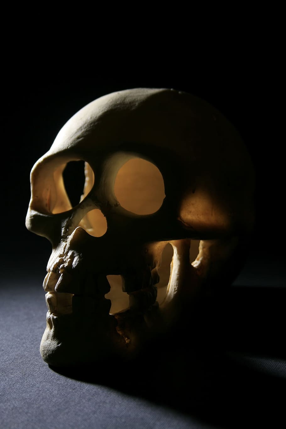 bone, close-up, death, head, old, one, photo, skull, studio, , black background, studio shot, human skeleton, indoors, human skull, halloween, helmet, single object, representation, dark, human representation, still life, spooky, skeleton, mask, headwear, 1080P
