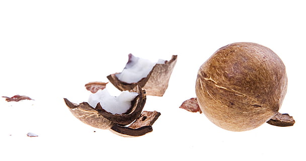 Coco, cocos, palma de coco, Cocoz, blanco, Fruta, fondo, madera, de cerca, aislado, vegetariano, peludo, natural, divertido, delicioso, tropical, dieta, marrón, hoja, subtropical, objeto, sabroso, sano, vitamina, planta, trópico, comida, nuez, Fondo blanco, separar, comida y bebida, foto de estudio, frescura, alimentación saludable, el color blanco, nadie, ingrediente, bienestar, adentro, vegetal, grupo de objetos, copia espacio, seta comestible, seta, 720P, CC0, dominio público, libre de derechos