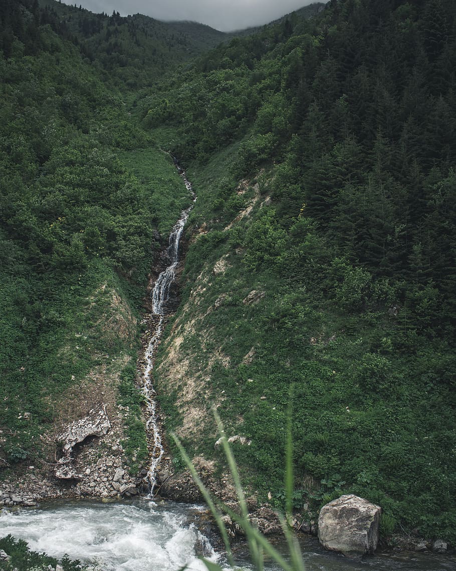 selectiu, focalitzar la fotografia, petit, cascades, cascada, medi ambient, paisatge, muntanya, naturalesa, a l'aire lliure, riu, escènic, planta, escenics - natura, bellesa a la natura, arbre, color verd, terra, creixement, bosc, aigua, aigua que flueix, cap gent, fullatge, exuberant fullatge, rock, moviment, que flueix, selva tropical, 4K