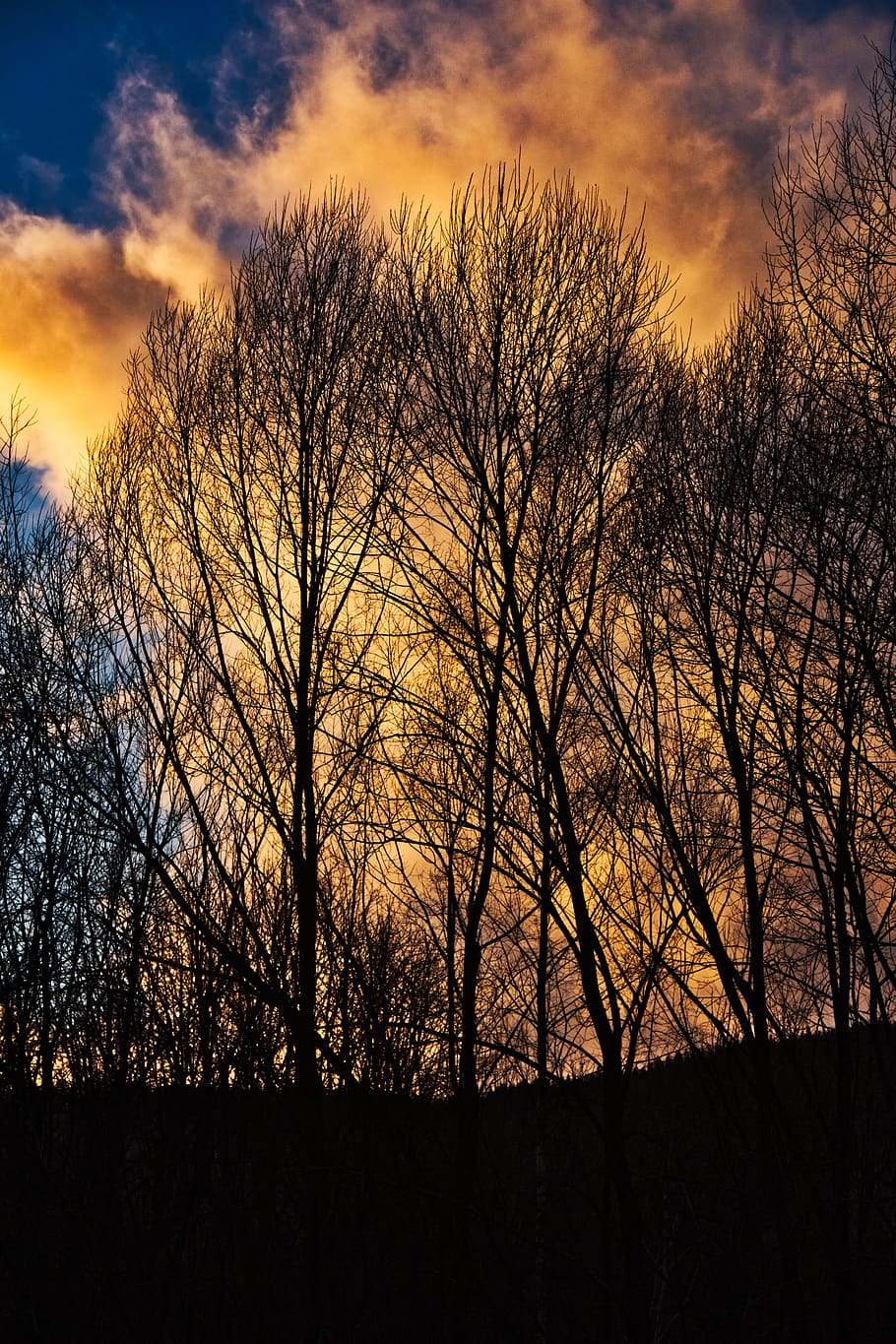arbres, posta de sol, paisatge, cel, núvols, crepuscle, tarda, bosc, escènic, bonic, taronja, llum solar, llum, místic, romàntic, abendstimmung, descans, humor, bellesa, hivern, herrlich, estiria, arbre, arbre nu, núvol - cel, silueta, bellesa a la natura, planta, tranquil·litat, escenics - natura, cap gent, naturalesa, escena tranquil·la, branca, color taronja, escena no urbana, terra, a l'aire lliure, tronc de l'arbre, tronc, planta morta, 5K