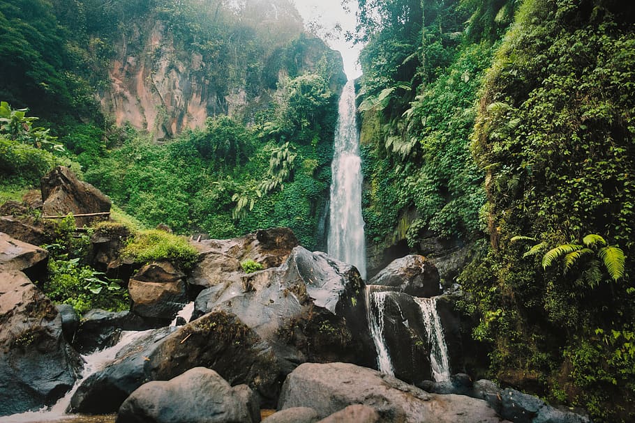 baix, fotografia d'angle, submergir cascades, penya-segat, la llum del dia, medi ambient, flux, bosc, verd, paisatge, molsa, muntanyes, naturalesa, plantes, roques, escènic, pedres, arbres, aigua, cascades, boscos, rock, rock - object, cascada, sòlid, arbre, escenics - natura, planta, aigua que flueix, bellesa a la natura, moviment, exposició llarga, dia, formació de roca, moviment borrós, terra, que flueix, cap gent, a l'aire lliure, caient aigua, selva tropical, 5K