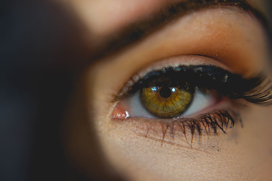 ulls de color verd, lent de contacte, humà, persona, tatuatge, pell, perforació, cosmètics, mascara, gel, cargol, naturalesa, a l'aire lliure, neu, hivern, fusta dura, fusta, alimentador d'ocells, animal, invertebrat, insecte, ull, vista, ull humà, part del cos, part del cos humà, percepció sensorial, pestanya, primer pla, rostre humà, una persona, adult, primer pla extrem, retrat, iris - ull, globus ocular, cella, adult jove, mirant la càmera, macro, dona guapa, ulls color avellana, adolescent, 5K