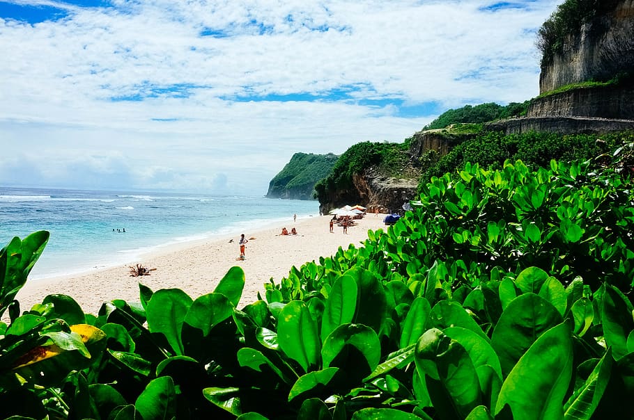 arboles, soleado, nubes, Oceano, agua, mar, arena, playa, arbusto, hoja, gente, claro, vibrante, al aire libre, clase superior, bali, colina, acantilado, verde, naturaleza, cielo, tierra, belleza en la naturaleza, planta, paisajes - naturaleza, nube - cielo, horizonte sobre el agua, crecimiento, horizonte, día, escena tranquila, color verde, tranquilidad, parte de la planta, 4K