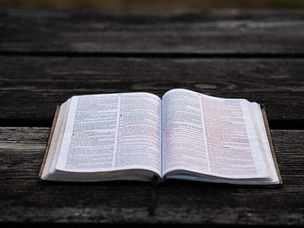 holy bible, scripture, bible, picnic table, table, book, open book, literacy, religious, relationship, religion, spirituality, literature, christianity, education, reading, praying, religious Text, learning, page, wood - Material, library, wisdom, close-up, backgrounds, single Object, god, open, textbook, old, book Cover, koran, holy Book, jesus Christ, no People, hardcover Book, catholicism, studying, brown, 5K, CC0, public domain, royalty free