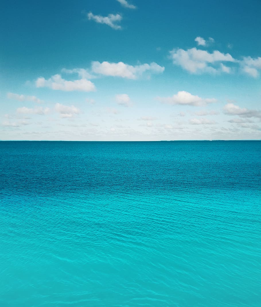 oceà, mar, cel, núvol, maldives, addu city, platja, aigua, a l'aire lliure, naturalesa, Costa, blau, tropical, mínim, estiu, temps, planta, herba, flora, escenics - natura, horitzó, bellesa a la natura, escena tranquil·la, horitzó sobre l’aigua, tranquil·litat, núvol - cel, idíl·lic, dia, cap gent, davant del mar, terra, color turquesa, 2K