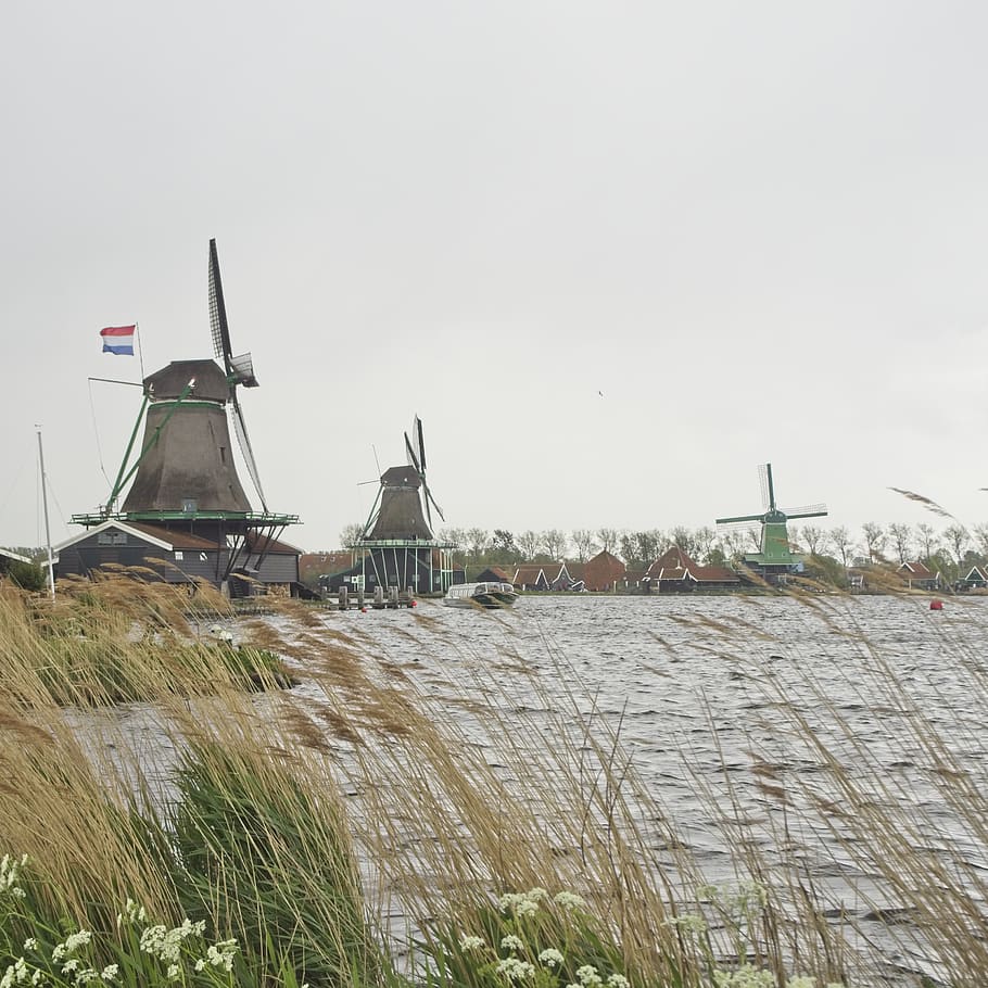 màquina, motor, turbina, aerogenerador, herba, planta, vaixell, transport, vehicle, zaanse schans, Països Baixos, aigua, clima, sostenible, molí de vent, molí, zaandijk, vent, energia, cel, arquitectura, naturalesa, estructura construïda, exterior de l'edifici, dia, cel clar, cap gent, terra, medi ambient, còpia espai, generació de combustible i energia, molí de vent tradicional, energia eòlica, a l'aire lliure, energia alternativa, 2K