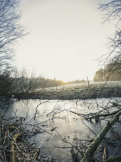 legeme, vand, omgivet, bar, træer foto, grene, dagtimerne, miljø, Mark, tåge, natur, udendørs, flod, plante, himmel, træ, vinter, ro, kold temperatur, ingen mennesker, sne, rolig scene, sø, scenics - natur, skønhed i naturen, dag, bare træ, skyfri himmel, sump, 5K, CC0, offentligt domæne, royaltyfrie