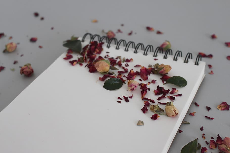 flor, quadern, notes, obert, buit, paper, escriure, Escriu a sota, oficina, lloc de treball, full, diari, flors, escriptori, estudiar, recorda, anoteu-ne, memòria, roses, flor de rosa, romàntic, ambaixada, informació, pla, memo, planificació, calendari, accessoris d’oficina, comunicació, preparar-se, memòries, Stickies, missatge, nota, casament, lliçó, temps, aïllat, a l'interior, frescor, menjar i beguda, menjar, taula, cap gent, vista d’angle alt, benestar, llavor, natura morta, alimentació saludable, primer pla, tir de l'estudi, fruita, Color blanc, indulgència, planta, fons blanc, planta amb flors, berenar, 5K