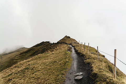 erba verde, cresta, pista, sentiero, nuvoloso, erba, montagna, nebbia, nebbioso, mistico, piccolo sentiero, modo, paesaggio, nube, verde, sentiero escursionistico, escursioni a piedi, natura, all'aperto, collina, cielo, Paesaggi, strada, viaggio, estate, nuvola - cielo, picco di montagna, scena rurale, vulcano, Islanda, roccia - oggetto, 5K, CC0, dominio pubblico, privo di copyright