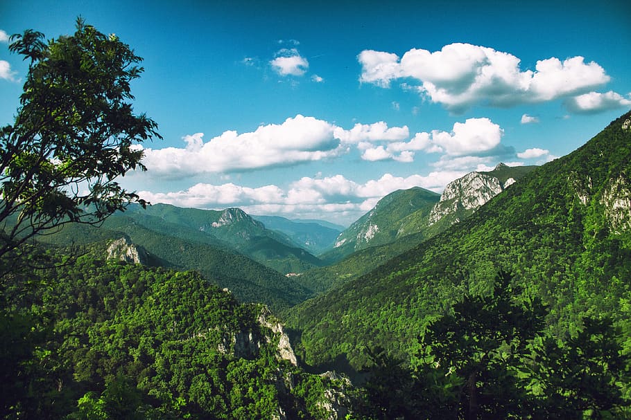 #forest, #trees, #núvols, #summer, muntanya, escenics - natura, bellesa a la natura, planta, cel, núvol - cel, arbre, tranquil·litat, escena tranquil·la, naturalesa, color verd, Serra, paisatge, medi ambient, escena no urbana, idíl·lic, dia, terra, cap gent, vall, a l'aire lliure, 4K