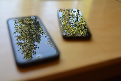 telèfon, reflexió, arbres, ordinador, fons, fons de pantalla, tecnologia, bonic, jenna beekhuis, arbre, planta, a l'interior, enfocament selectiu, cap gent, naturalesa, primer pla, creixement, dia, color verd, centrar-se en fons, marihuana - cannabis a base d'herbes, transparent, vidre - material, bellesa a la natura, mirall, 5K, CC0, domini públic, lliure de regalies