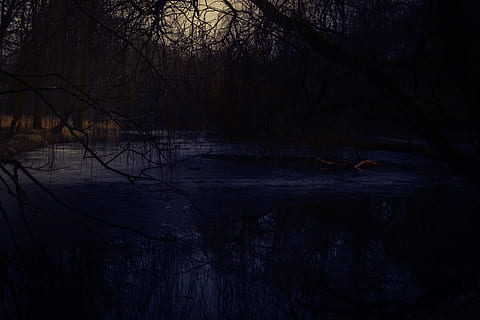 lago, arboles, primavera, noche, oscuro, sombra, oscuridad, árbol, camino, amarillo, parque, bosque, azul, azul y amarillo, marzo, negro, amarillo y negro, negro y amarillo, ze, agua, tranquilidad, planta, nadie, tierra, naturaleza, belleza en la naturaleza, escena tranquila, reflexión, paisajes - naturaleza, rama, silueta, árbol desnudo, escena no urbana, frente al mar, al aire libre, 4K, CC0, dominio público, libre de derechos