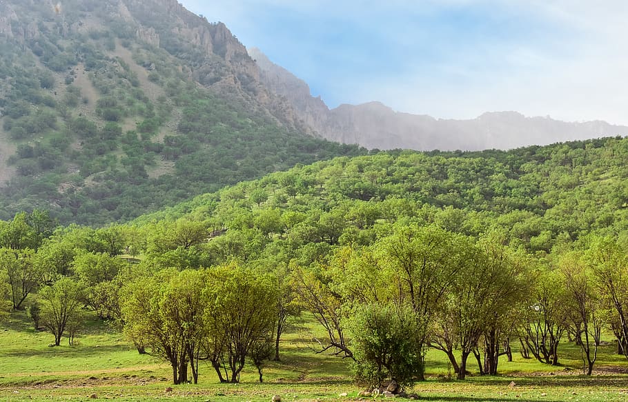 verde, copaci, Munte, natură, în aer liber, camp, iarbă, plantă, mediu rural, pășune, Iran, tang-e sulak, decor, rural, fermă, păşune, luncă, de munte, Ranch, copac, adăpost, clădire, frumusețe în natură, liniște, o scenă liniștită, scenice - natura, creştere, Culoarea verde, mediu inconjurator, teren, peisaj, scenă non-urbană, cer, nici o persoana, idilic, zi, la distanta, 5K