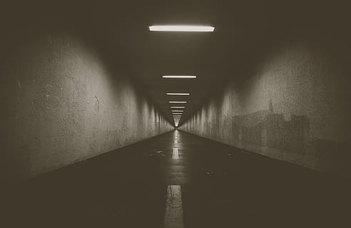 vuoto stretto percorso, attrezzatura per l'illuminazione, illuminato, architettura, la strada davanti, direzione, in casa, prospettiva decrescente, nessuno, struttura costruita, caratteristica della parete, luce, portico, vuoto, corridoio, costruzione, tunnel, luce elettrica, punto di fuga, soffitto, buio, luce alla fine del tunnel, sottopassaggio, lungo, calcestruzzo, apparecchio di illuminazione, 4K, CC0, dominio pubblico, privo di copyright