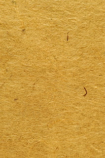 mapa, pergamí, antic, fons, textura, zen, temps, or, llibre, full, quadern, àlbum de noces, coberta, vertebrats, temes d'animals, animal, fauna animal, animals a la natura, ocell, volant, cap gent, un animal, dia, ales separades, naturalesa, bellesa a la natura, marc complet, a l'aire lliure, a l'aire, aigua, davant del mar, 4K, CC0, domini públic, lliure de regalies
