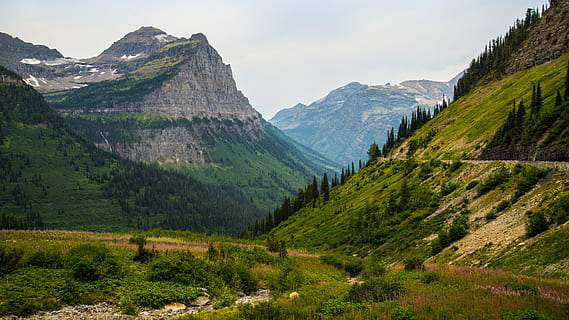 verde, albero, erba, sentiero, pianta, montanaro, montagna, valle, collina, paesaggio, natura, cielo, nube, scenics - natura, catena montuosa, ambiente, bellezza nella natura, colore verde, terra, la tranquillità, scena tranquilla, nessuno, giorno, foresta, scena non urbana, destinazioni di viaggio, all'aperto, picco di montagna, Pino, albero di conifere, bosco di pini, 1080P, CC0, dominio pubblico, privo di copyright