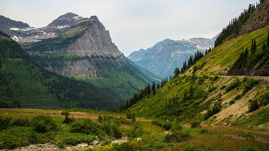 verde, albero, erba, sentiero, pianta, montanaro, montagna, valle, collina, paesaggio, natura, cielo, nube, scenics - natura, catena montuosa, ambiente, bellezza nella natura, colore verde, terra, la tranquillità, scena tranquilla, nessuno, giorno, foresta, scena non urbana, destinazioni di viaggio, all'aperto, picco di montagna, Pino, albero di conifere, bosco di pini, 1080P