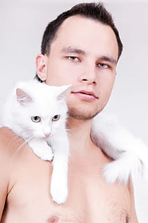 mand, kat, hvid, baggrund, smuk, studie, isolerede, kæledyr, hår, lykke, glad, fedt nok, indendørs, positiv, fotografering, voksen, skønhed, portræt, indenlandske, husdyr, pattedyr, indenlandske kat, ung voksen, studio skud, bar overkrop, kigger på kameraet, unge mænd, en person, feline, et dyr, kæledyr ejer, bakkenbart, 2K, CC0, offentligt domæne, royaltyfrie