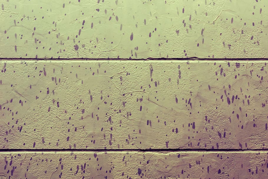 pluja, paret, parede, chuva, depressió, magenta, colors, encara, resum, marc complet, funció de construcció de parets, textura, patró, fons, arquitectura, estructura construïda, cap gent, resistent, vell, descamació, material de fusta, dia, maó, paret de maó, sòls, primer pla, a l'interior, 4K