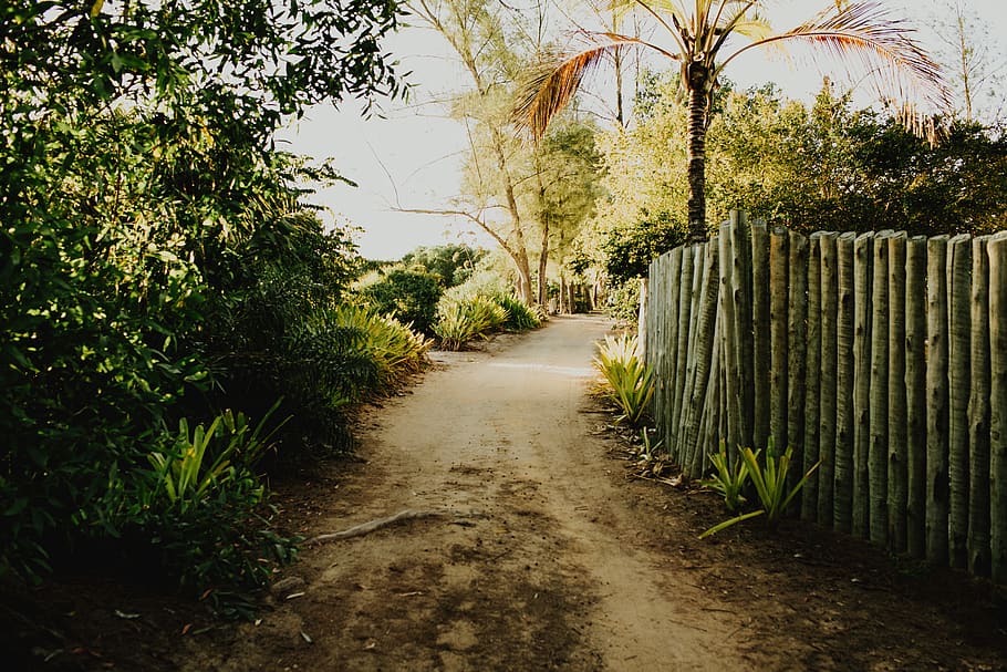 foto del camí, planta, carretera, arbre, Carretera bruta, grava, a l'aire lliure, jardí, arbor, Camí, jungla, verd, vegetació, Brasil, fons de pantalla, espirito sant, sòl, naturalesa, ceràmica, jar, direcció, creixement, el camí a seguir, cap gent, sendera, dia, color verd, bellesa a la natura, tranquil·litat, cel, límit, tanca, escena tranquil·la, barrera, perspectiva decreixent, 5K