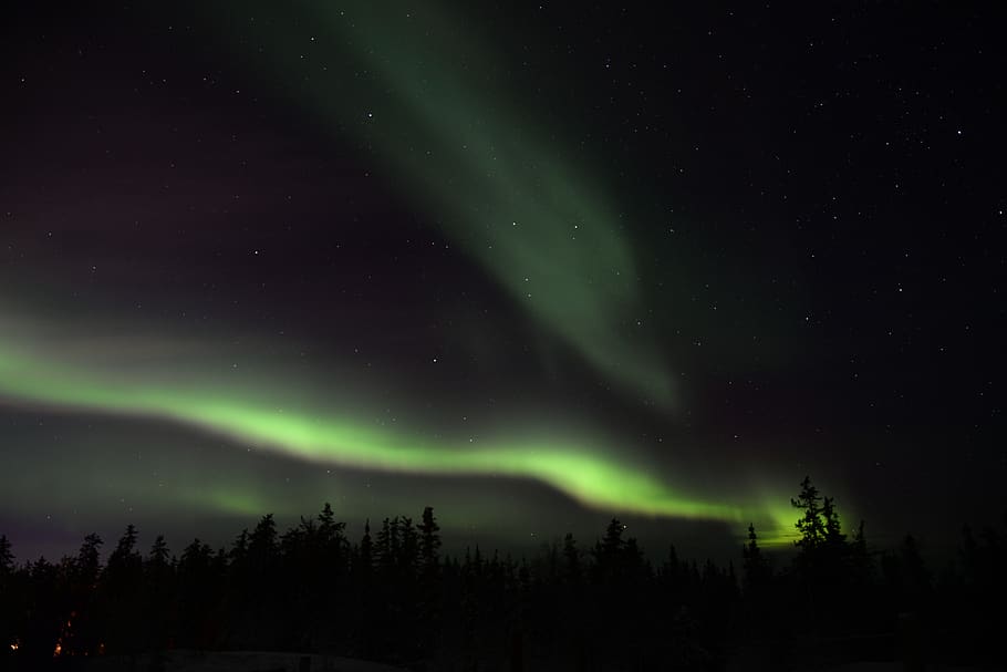 aurora, cel, nit, arbres, planta, naturalesa, verd, llum, espai, bellesa a la natura, astronomia, estrella - espai, escenics - natura, color verd, tranquil·litat, cap gent, idíl·lic, escena tranquil·la, arbre, cel dramàtic, medi ambient, silueta, majestuós, fenomen natural, aurora polaris, lluminositat, poder a la natura, 5K