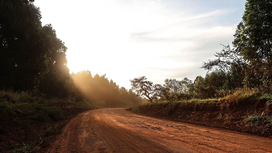 vista de rutes de senderisme, flamarada, llum, carretera, naturalesa, a l'aire lliure, Kenya, makuyu, llum solar, cel, Carretera bruta, grava, sòl, vespre, posta de sol, cel vermell, alba, planta, backround, vermell, arbre, direcció, el camí a seguir, tranquil·litat, transport, escena tranquil·la, brutícia, bellesa a la natura, escena no urbana, cap gent, creixement, terra, medi ambient, núvol - cel, perspectiva decreixent, llarg, 4K