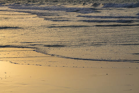 Wellen, Wasser, Ozean, draußen, Natur, Meer, Küstenlinie, Strand, Küste, Sand, Saadiyat öffentlichen Strand, Vereinigte Arabische Emirate, Abu Dhabi, Sonnenuntergang, golden, nass, Himmel, Vogel, Tier, Land, Vollbild, Hintergründe, keine Leute, Muster, Tag, Ruhe, Szenen - Natur, texturiert, Schönheit in der Natur, braun, ruhige Szene, High Angle View, Landschaft, trockenes Klima, Klima, 4K, CC0, gemeinfrei, lizenzfrei